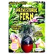 Prehistoric Fern Micro Terrarium